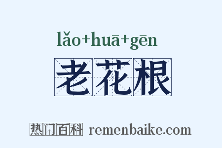 老花根是什么意思的图片